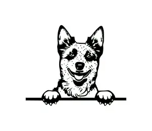 Download Red Heeler Peeking Dog SVG | Australian Cattle Dog Silhouette | Digital Download for Cricut, Vinyl Cutters