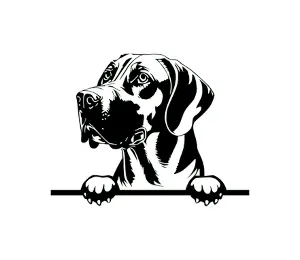 Download Rhodesian Ridgeback Peeking Dog SVG | Black and White Silhouette | Digital Download for Crafts