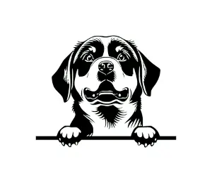 Download Rottweiler Peeking Dog SVG | Black and White Silhouette | Vector Graphic for Cricut and Crafts