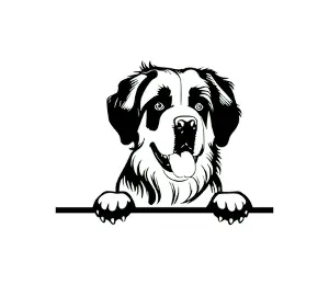 Download Saint Bernard Peeking Dog SVG | Black and White Silhouette | Vector Graphic for Cricut and Craft Projects