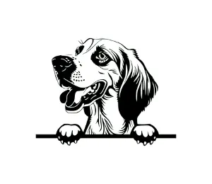 Download Saluki Peeking Dog SVG | Black and White Silhouette Vector Graphic | Digital Download for Cricut, Crafts, and Wall Decor