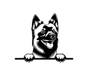 Download Schipperke Peeking Dog SVG - Black and White Silhouette Clipart for Cricut, Wall Decor, and Crafts