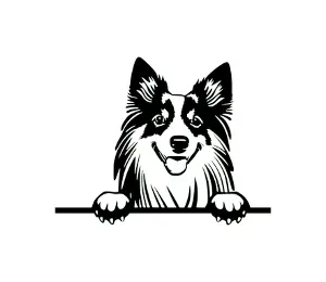 Download Shetland Sheepdog Peeking Dog SVG - Black and White Silhouette Vector Graphic for Cricut and Craft Projects