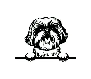 Download Shih Tzu Peeking Dog SVG | Black and White Silhouette | Cute Pet Vector Clipart for Cricut and Crafts