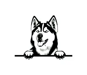 Download Siberian Husky Peeking Dog SVG - Black and White Silhouette Vector Graphic for Cricut and Digital Crafts