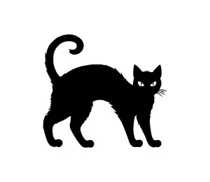 Download Sleek Black Cat SVG: Perfect for Halloween Decor, Cat Mom Gifts & Cute DIY Projects