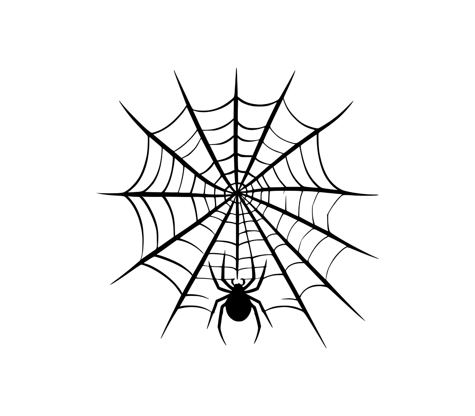 Spooky Spider Web SVG | Halloween Spider Silhouette