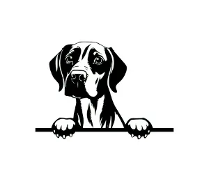 Download Vizsla Peeking Dog SVG | Black and White Silhouette Vector Graphic | Digital Download for Cricut