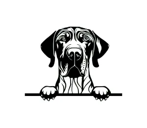 Download Weimaraner Peeking Dog SVG | Black and White Silhouette | Digital Download for Cricut and Graphic Design