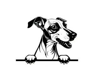 Download Whippet Peeking Dog SVG | Black and White Silhouette Vector Graphic | Digital Download for Cricut