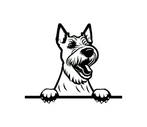 Download Wire Fox Terrier Peeking Dog SVG | Black and White Silhouette | Digital Download for Cricut and Crafts