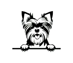 Download Yorkshire Terrier Peeking Dog SVG - Black and White Silhouette Vector Graphic for Cricut and Digital Design